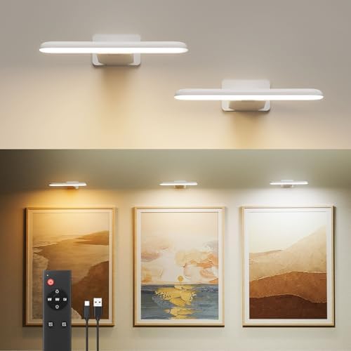 Picture Lights for Wall Rechargeable, Picture Frame Lights, Dartboard light by FULEN