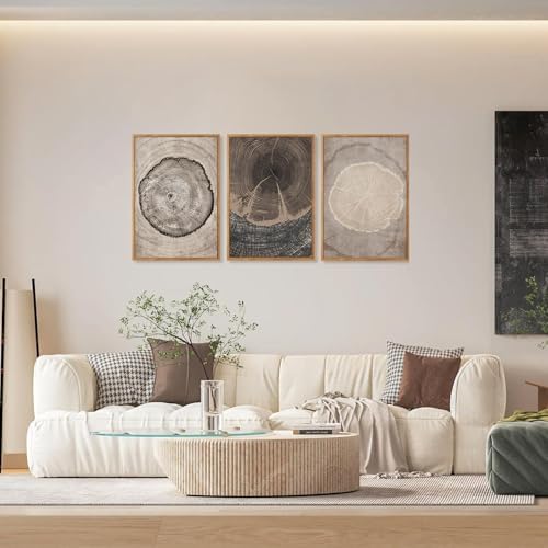 CHDITB Tree Ring Wall Art Set of 3, Abstract Black and White Wall Painting - Image 4