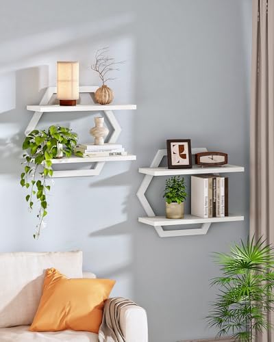 CHOEZON Hexagon Floating Shelves by Choezon