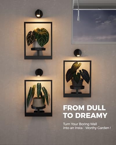 Bamworld Hanging Planters for Indoor Plants Wall Decor Living Room Light - Image 5