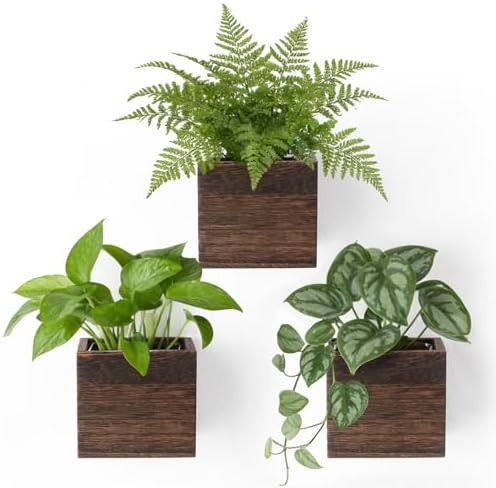 Dahey Small Wall Hanging Planters 3 Pack 4 Inch Wood Pot by Dahey