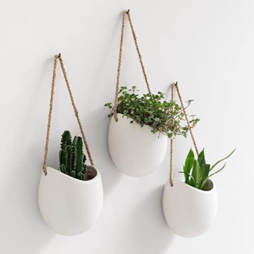 Kazai. Wall Planters -Ellie- | Hanging Ceramic Plant Pots 3 Pieces | Wall by KAZAI
