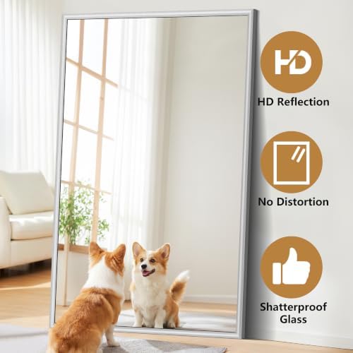 FORBATH Bathroom Mirror for Over Sink, 60x40 Inch Silver Wall Mirror - Image 4