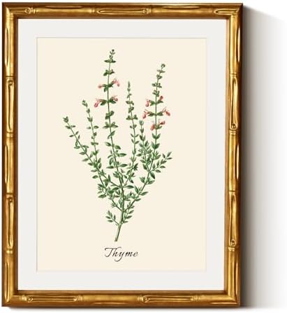 InSimSea Gold Bamboo Framed Wall Art, Vintage Thyme Herbs Prints by InSimSeaArt