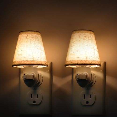 Vintage Plug in Night Light by LOIWON