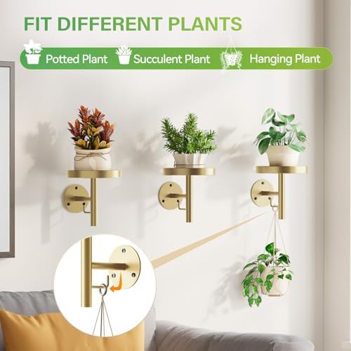 DELLAN Wall Plant Holder, All Gold - Image 3