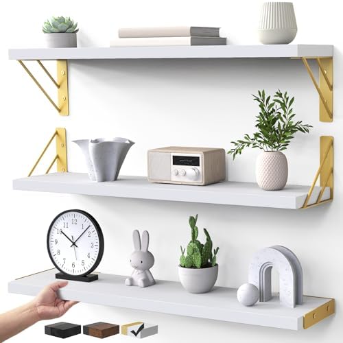 BAYKA 22.4 in Long Wall Mounted Floating Shelves by Bayka
