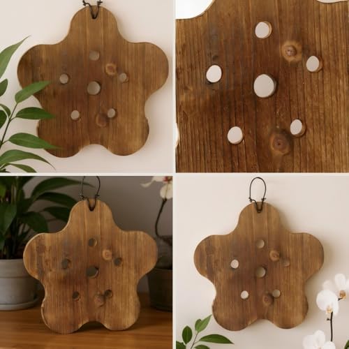 Staghorn Fern Mounting Board Kit Wooden Wall Planter - Image 5