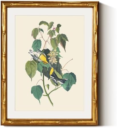 InSimSea Gold Bamboo Framed Wall Art, Vintage Bird Botanical Prints by InSimSeaArt