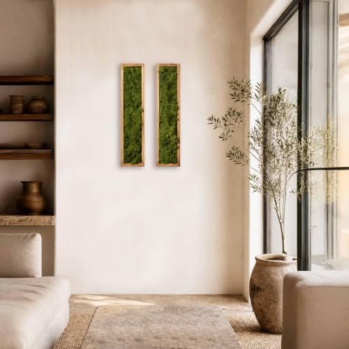 Mokof Preserved Moss Wall Art Decor, Moss Green, 2 Pack - Image 5