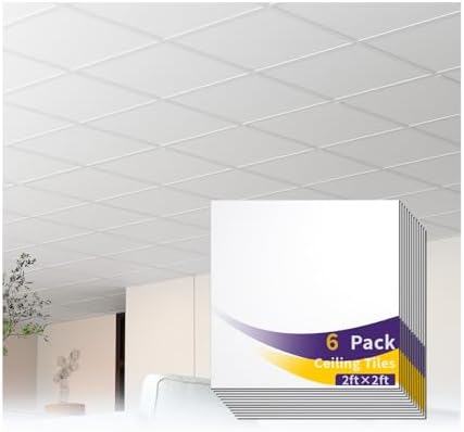 6 PCS 2x2 FT White Ceiling Tiles, 24x24 Inch PVC Waterproof Smooth Drop Ceiling by LooYee