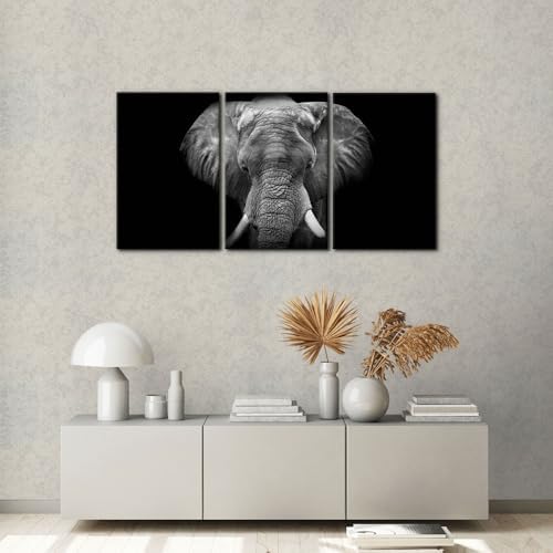 Pacimo 3 Pieces Wall Art for Living Room Elephant Canvas Wall Decor for Bedroom - Image 3