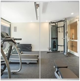 Delma Home Gym Mirror by Delma