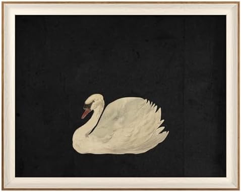 VIYYIEA Framed Zwaan Swan Wall Art, Vintage Animal Artwork, 20×16 Inch by VIYYIEAART