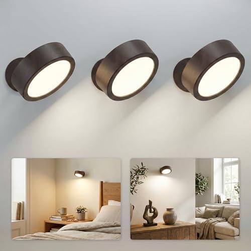 EZVALO LED Wall Mounted Light, 3000mAh Rechargeable Cordless Wall Sconce by EZVALO