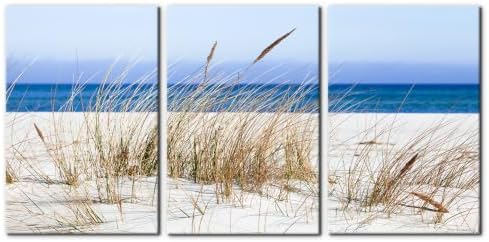 Pacimo Framed Canvas Wall Art 3 Pieces Beach Wild Grass Modern Home Decor by Pacimo
