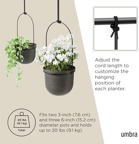 Umbra Triflora Hanging Planter, Window Herb Garden - Image 5