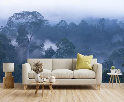Toolhom Misty Forest Morning Landscape View, Forest Wallpaper Mural by Toolhom
