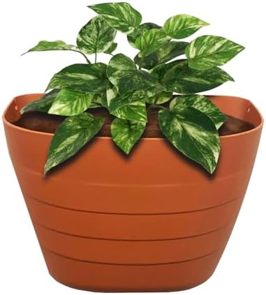 12 Inch Self-Watering Wall Planter - Image 4