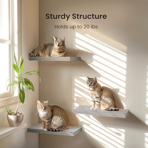 Amada 15.7" Floating Shelves for Wall Decor & Storage - Image 5