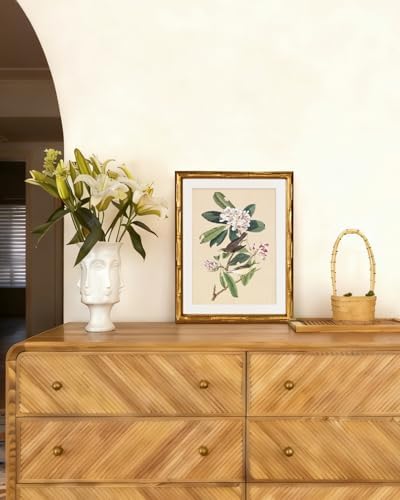 InSimSea Gold Bamboo Framed Wall Art, Vintage Bird Botanical Prints - Image 2
