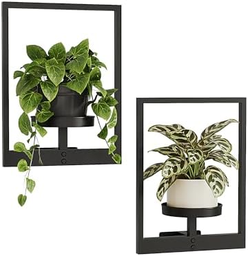 Bamworld Wall Plant Holder Plant Stand Indoor Wall Planters Black by Bamworld