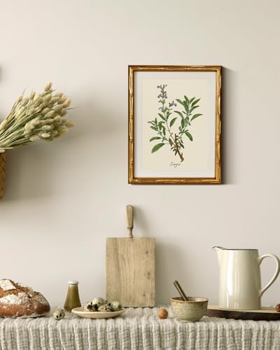 InSimSea Gold Bamboo Framed Wall Art, Vintage Sage Herbs Prints - Image 5