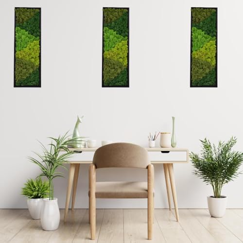 Large Moss Pattern Wall Art, Eco-Friendly Natural Green Wall Decor|Set of 2 - Image 6