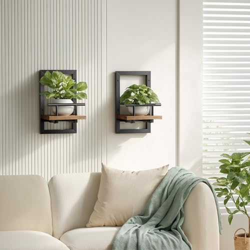 Sbosbo Floating Shelves for Wall Plant Shelf - Image 2
