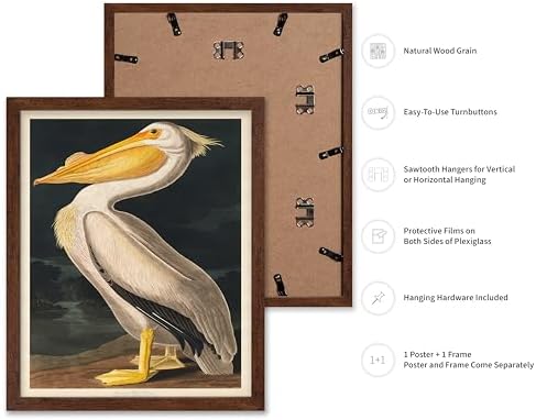 Poster Master Vintage John James Audubon Poster - Image 2