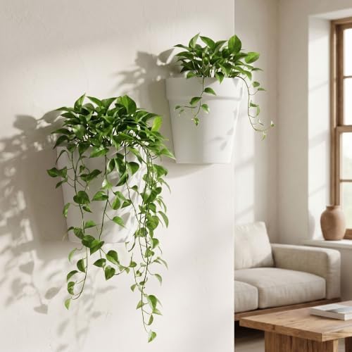 Asnext 2 Pack Indoor Wall Planter, 7.5 Inch Wall Planter Pot - Image 3