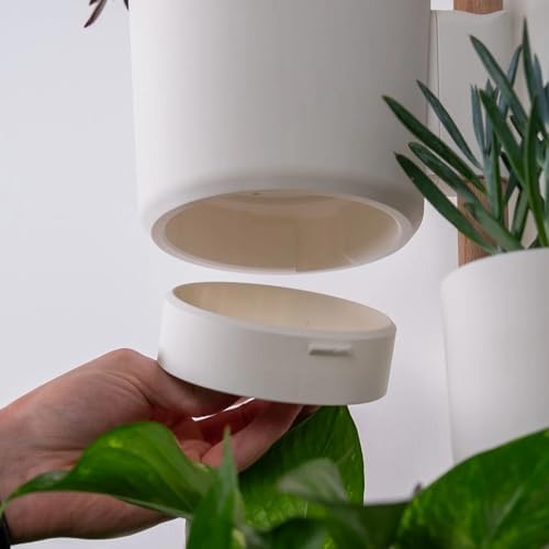Rail Planter Mounting System, The Rail, Vertical Rail Planter Pot, Vertical - Image 6