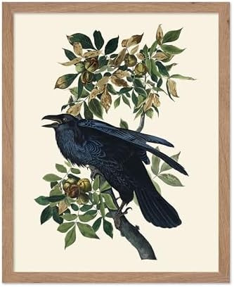 Poster Master Vintage John James Audubon Poster by PosterMaster