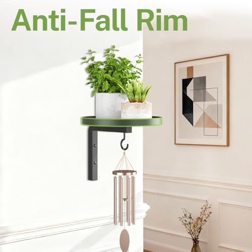 iDavosic.ly Plant Wall Hanger Holder - Image 4
