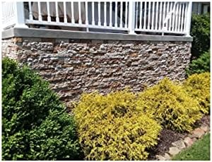 AirStone Primary Stones, Autumn Mountain Creek Color Blend, Mfgr Stone - Image 5