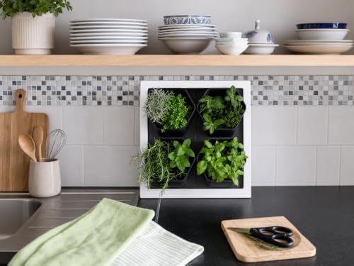 FRESH SPEED Self-Watering Wall Planters - Image 2