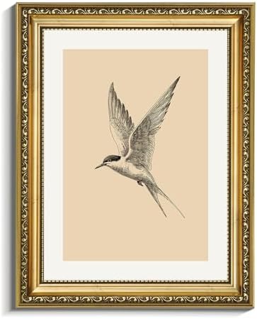 VIYYIEA Vintage Gold Framed Swallow Canvas Bird Wall Art, 11×14 Inch by VIYYIEAART