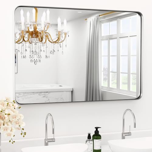 20" x 40" Brushed Nickel Bathroom Mirror by YYXW