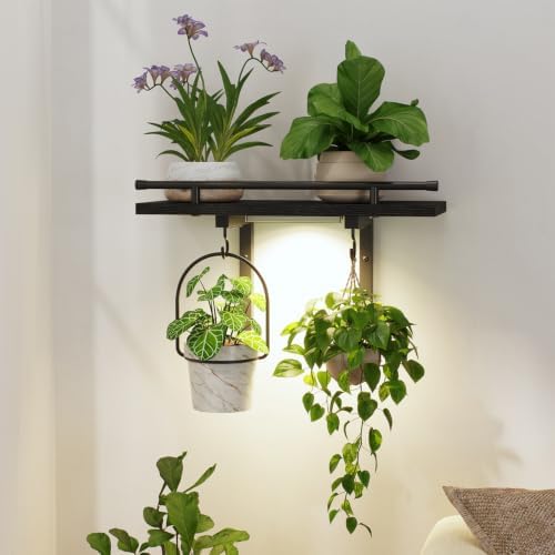 LASZOLA Wall Plant Shelves Floating Hanger Holder by LASZOLA