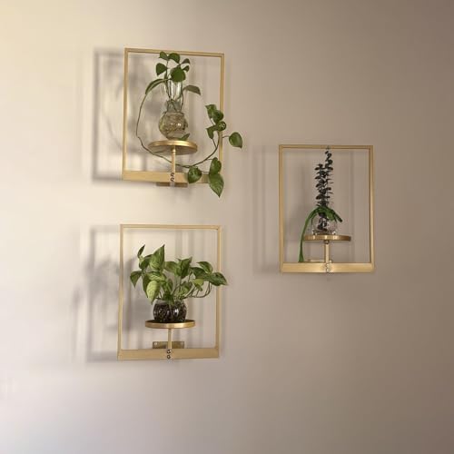 Picture Frame Wall Planters Set of 3, Modern Metal Hanging Shelves - Image 5