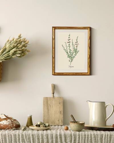 InSimSea Gold Bamboo Framed Wall Art, Vintage Thyme Herbs Prints - Image 5