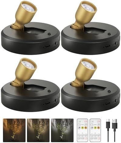 EZVALO 4-Pack Spotlight Indoor, Rechargeable Battery Picture Lights, Wireless by EZVALO