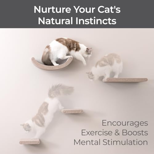Cat Wall Shelves Set - Image 5