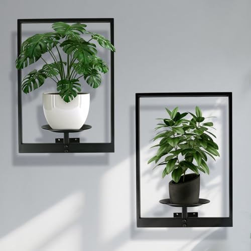 Plant Wall Shelf, Metal Modern Style Frame, Picture Wall Plant Holder, Plant by SUNLITOPTO