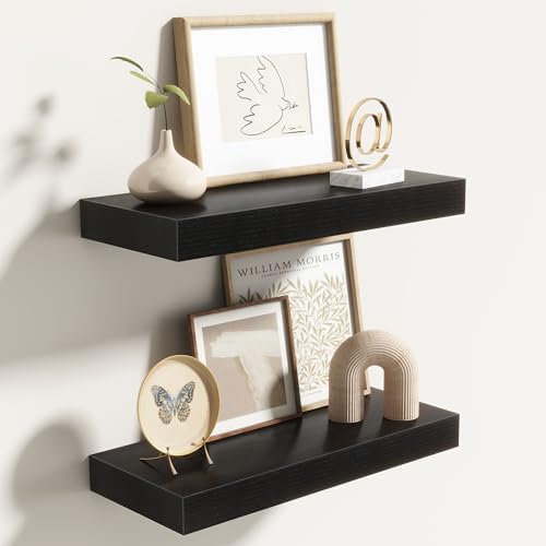 Acovy 16 Inch Floating Shelves for Wall 2 Pack, Wall Mounted Floating Shelf by Acovy