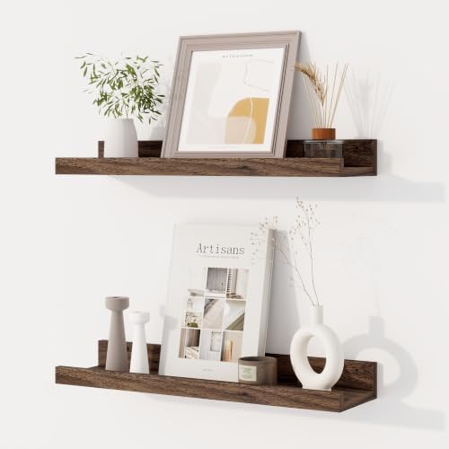 Dreamland Picture Ledge Shelf for Wall, Floating Shelves Set of 2, 18 inch Long by Dreamland