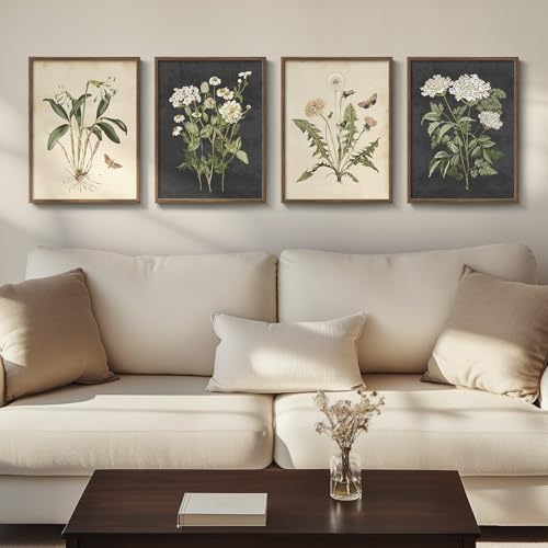 Framed Vintage Botanical Floral Wall Art by Cuspin