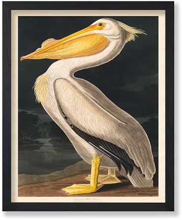 Poster Master Vintage John James Audubon Poster by PosterMaster