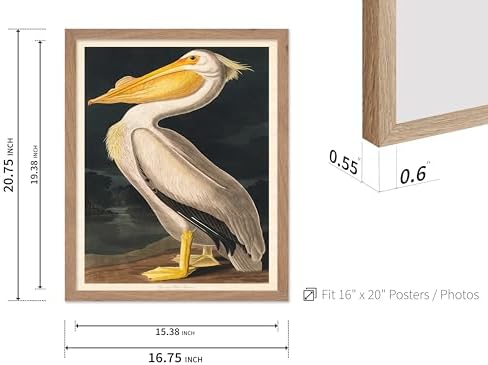 Poster Master Vintage John James Audubon Poster - Image 3