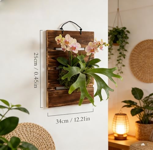 Staghorn Fern Mounting Board Kit Wooden Wall Planter Hanging Plant Holder - Image 3